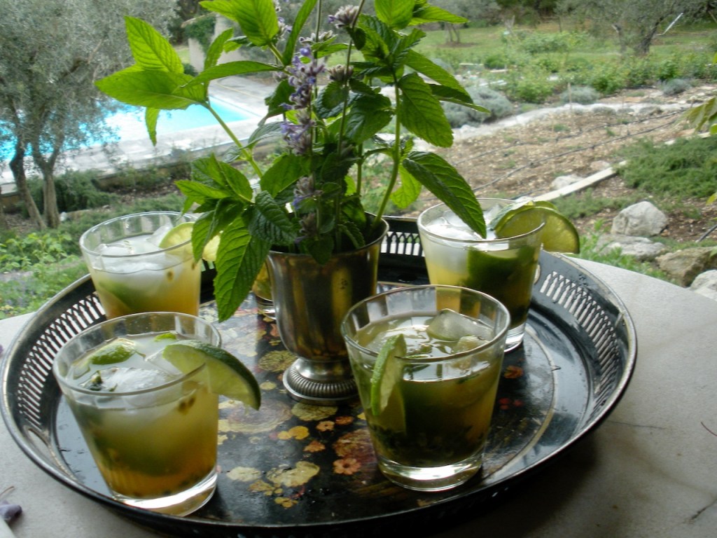A tray of passion fruit cocktails, garnished with mint.
